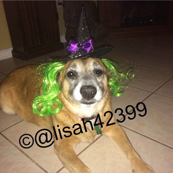 Meet your Posher, Lisa - Picture 5 of 11